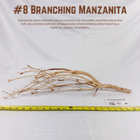 Branching Manzanita | WYSIWYG Pieces