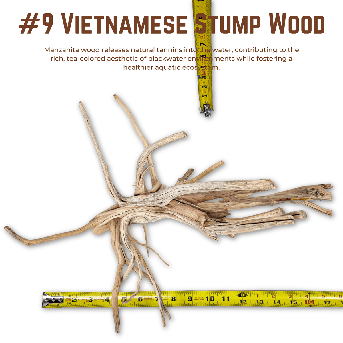 Vietnamese Stump Wood | WYSIWYG Pieces