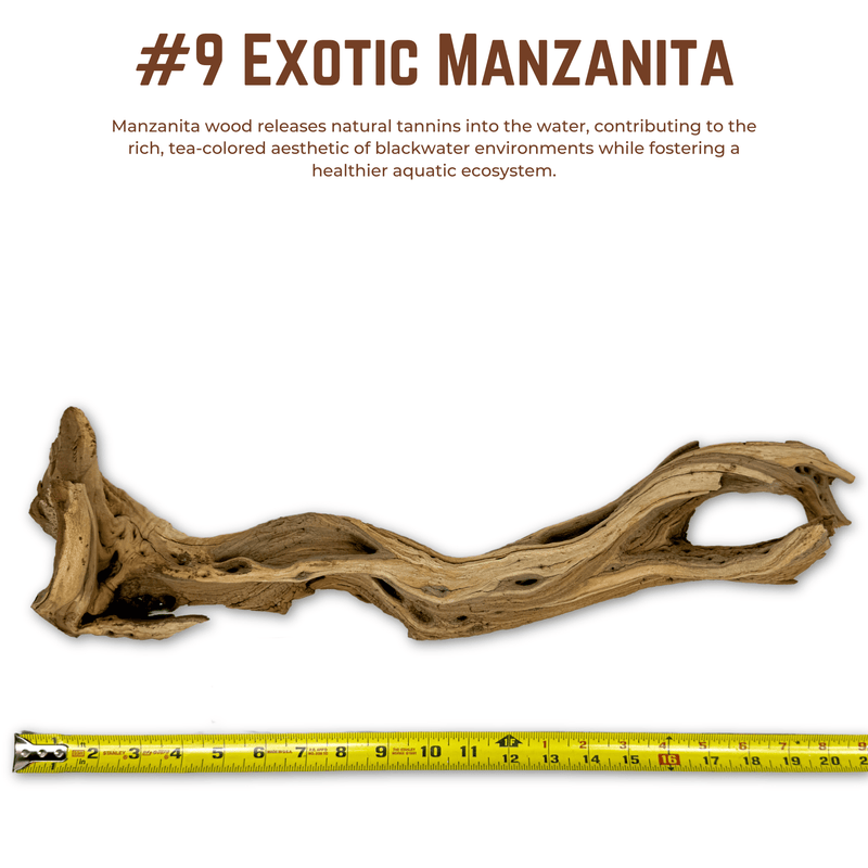 Exotic Manzanita | WYSIWYG Pieces