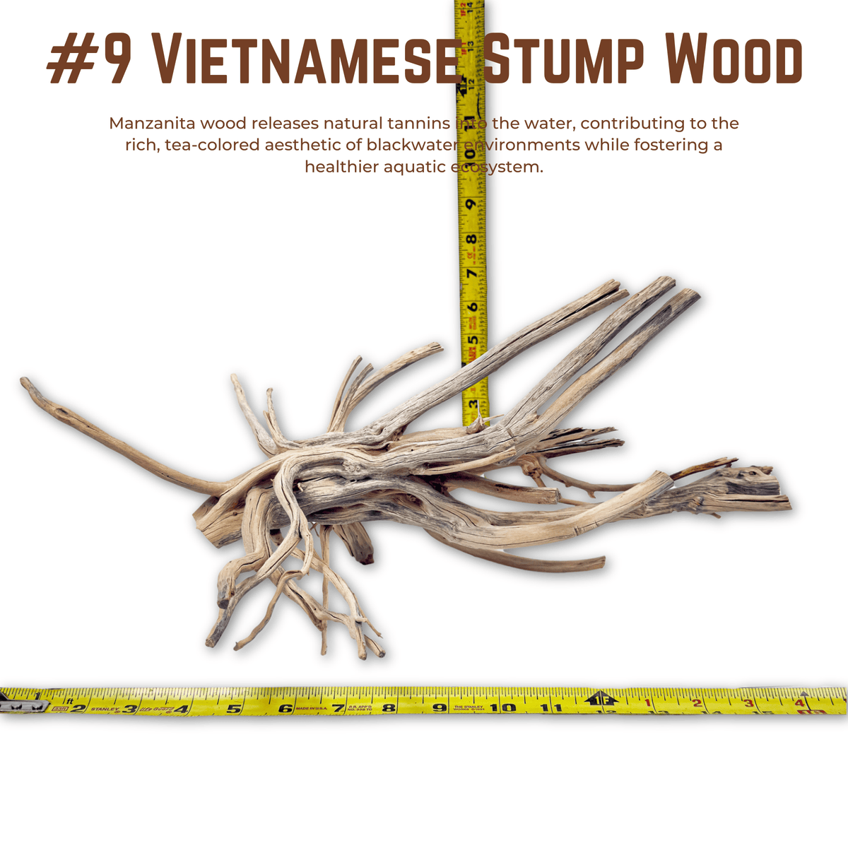 Vietnamese Stump Wood | WYSIWYG Pieces