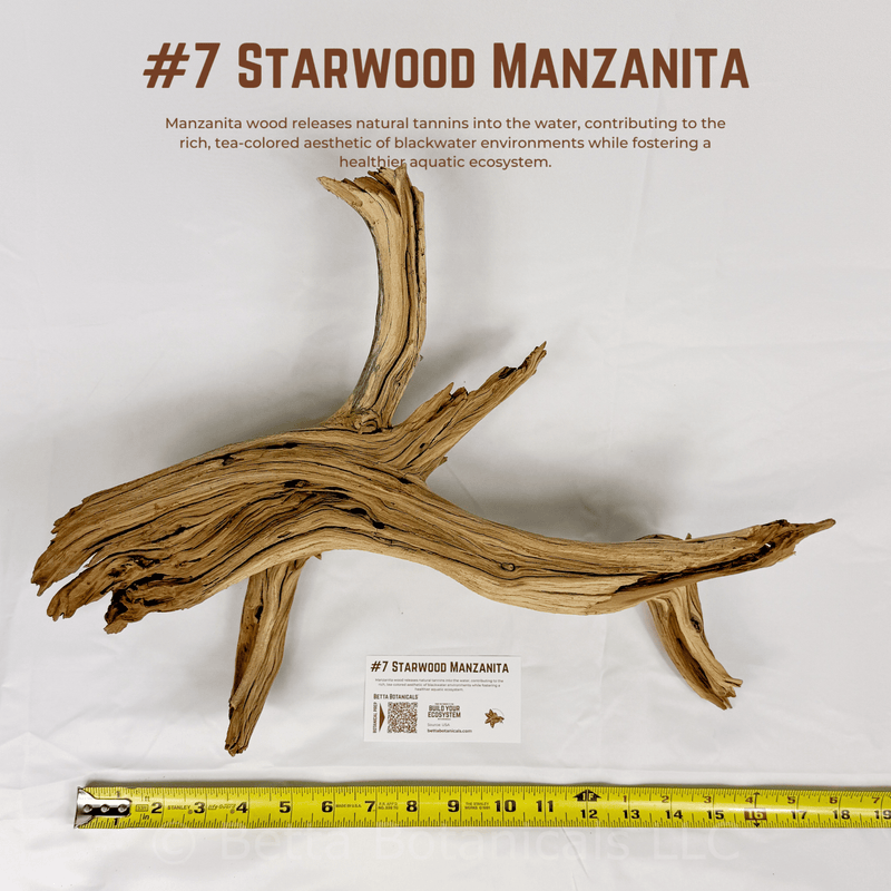 'Starwood' Manzanita | WYSIWYG Pieces