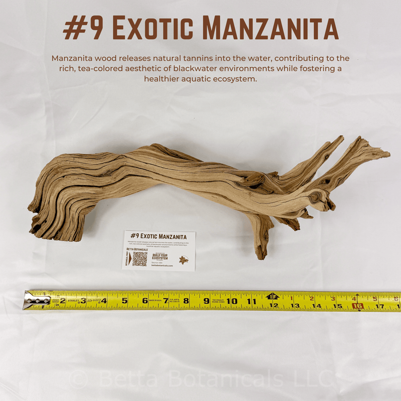 Exotic Manzanita | WYSIWYG Pieces