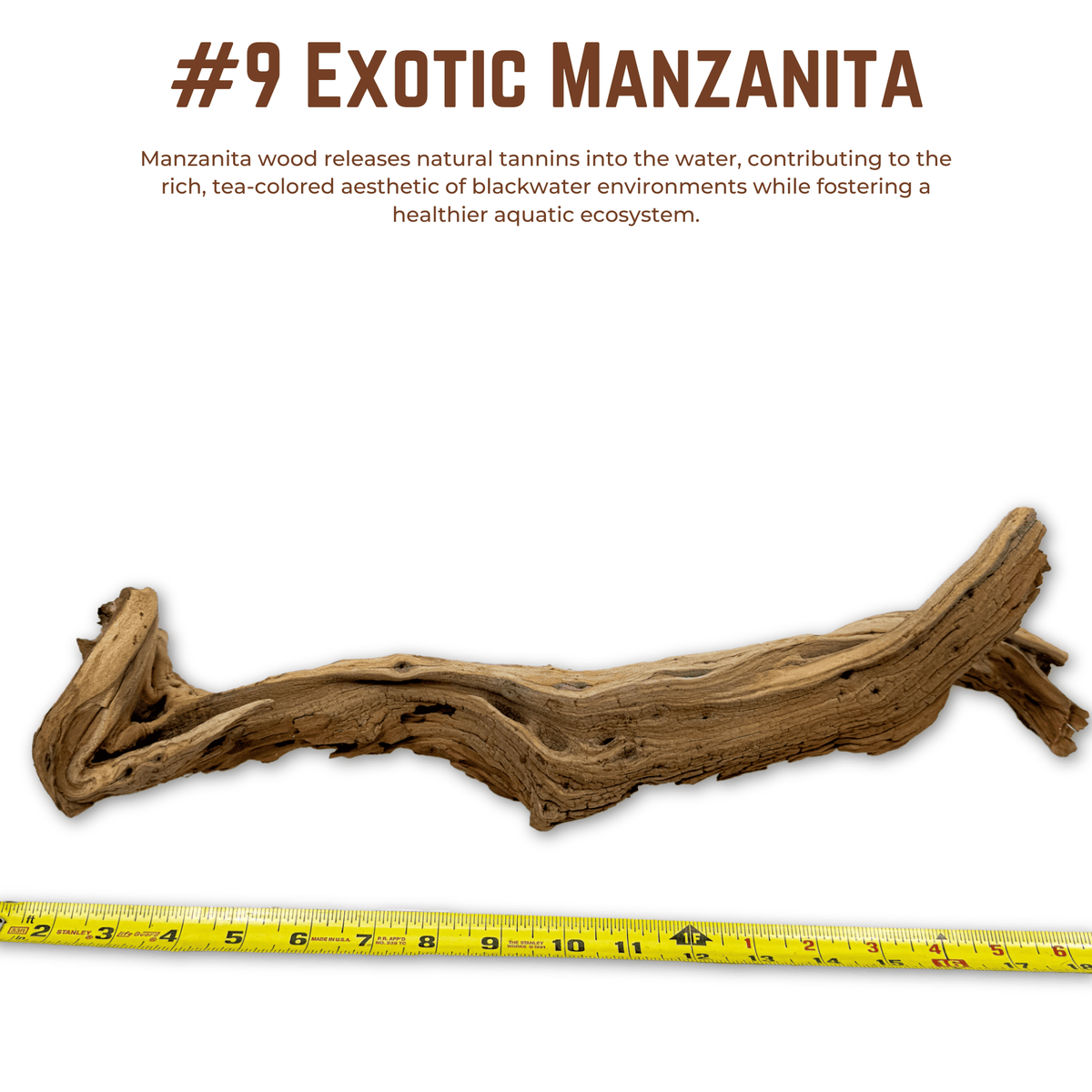 Exotic Manzanita | WYSIWYG Pieces