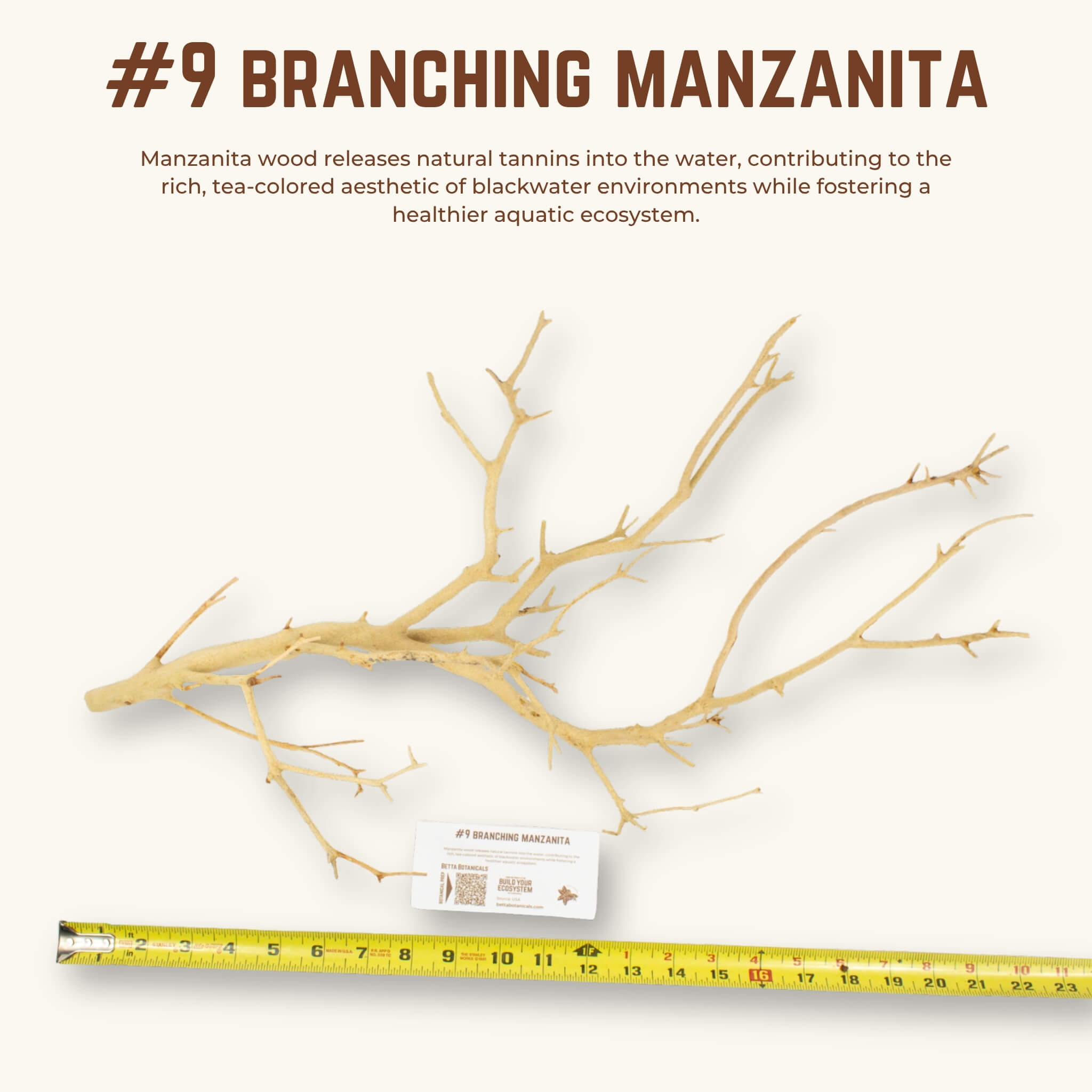 Branching Manzanita | WYSIWYG Pieces