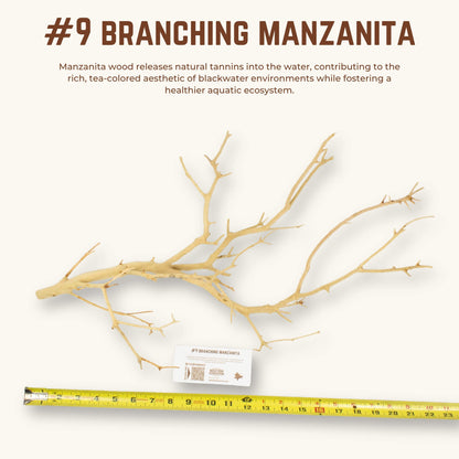 Branching Manzanita | WYSIWYG Pieces