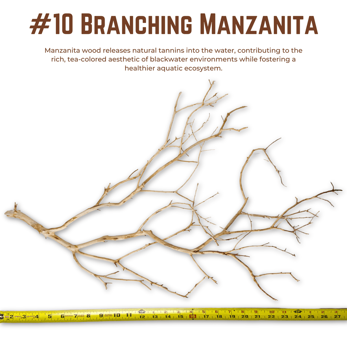 Branching Manzanita | WYSIWYG Pieces