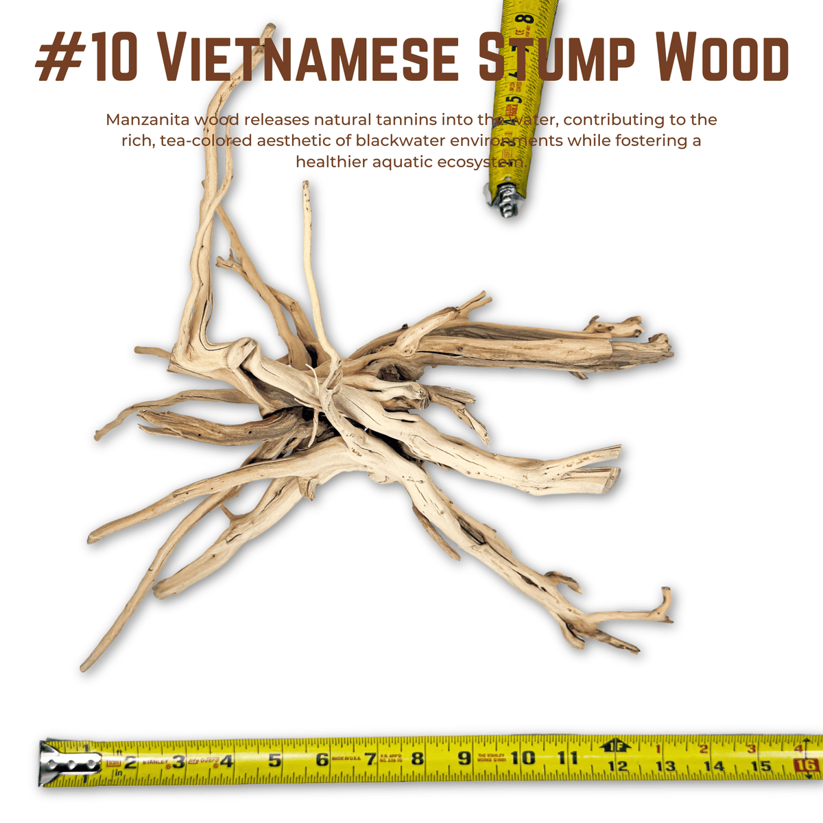 Vietnamese Stump Wood | WYSIWYG Pieces