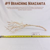 Branching Manzanita | WYSIWYG Pieces