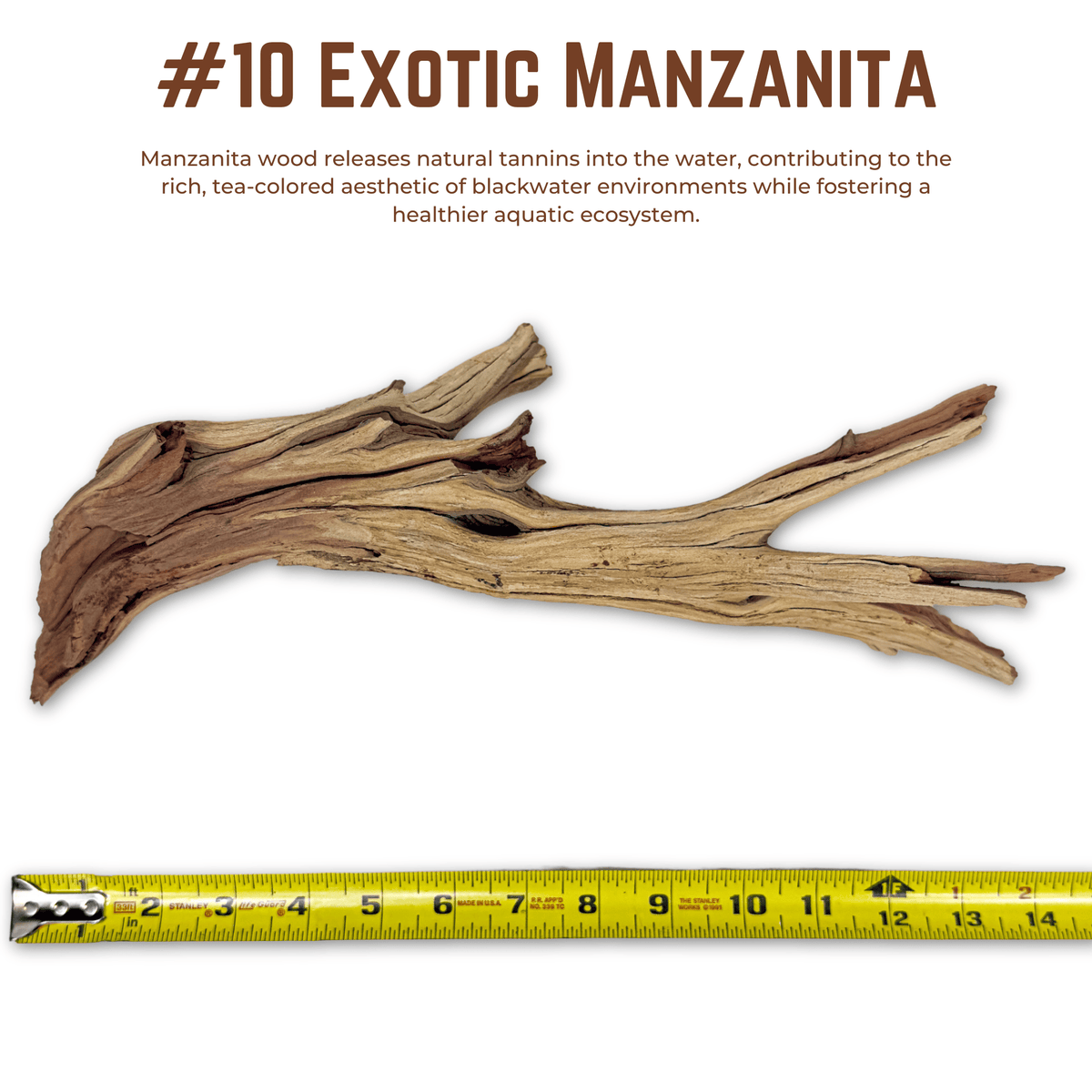 Exotic Manzanita | WYSIWYG Pieces