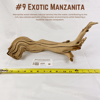 Exotic Manzanita | WYSIWYG Pieces