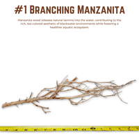 Branching Manzanita | WYSIWYG Pieces