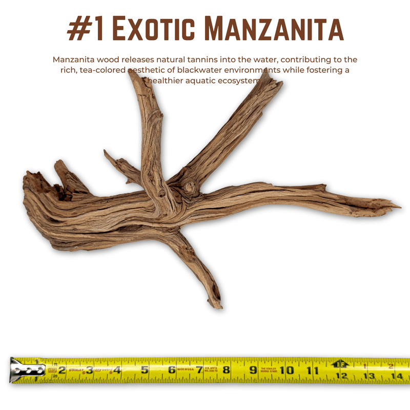 Exotic Manzanita | WYSIWYG Pieces