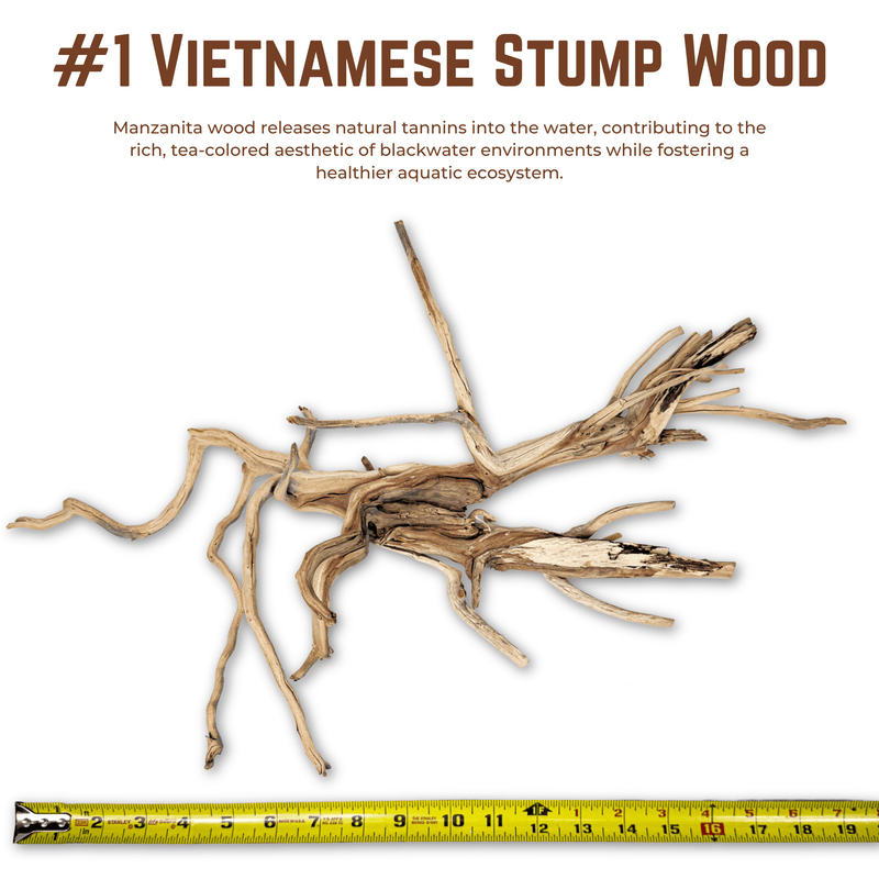 Vietnamese Stump Wood | WYSIWYG Pieces