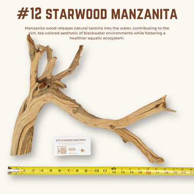 Starwood Manzanita | WYSIWYG Pieces