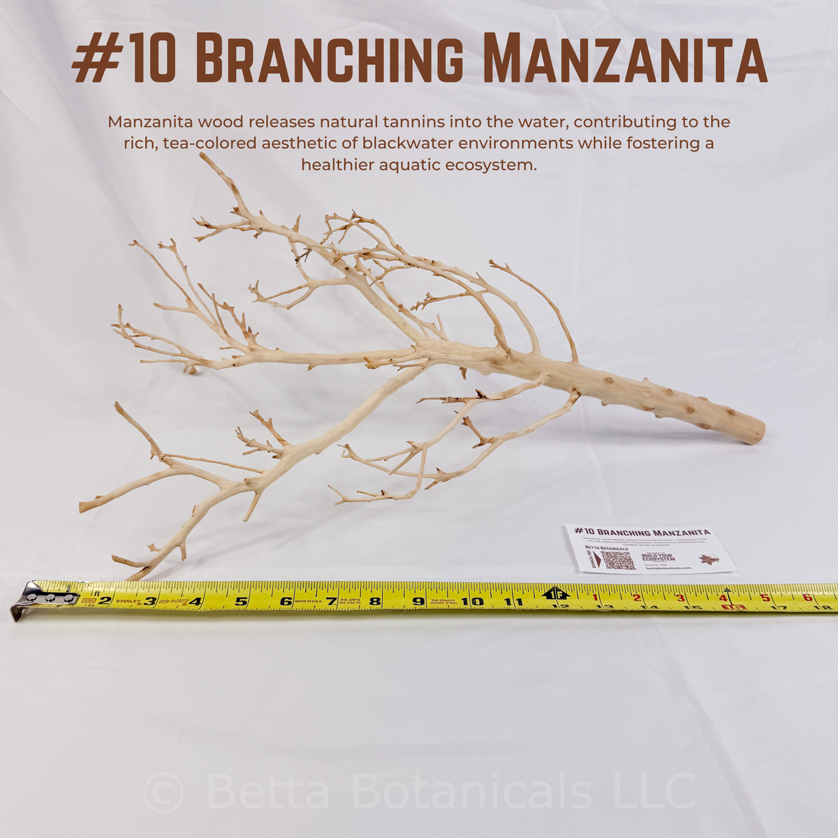 Branching Manzanita | WYSIWYG Pieces