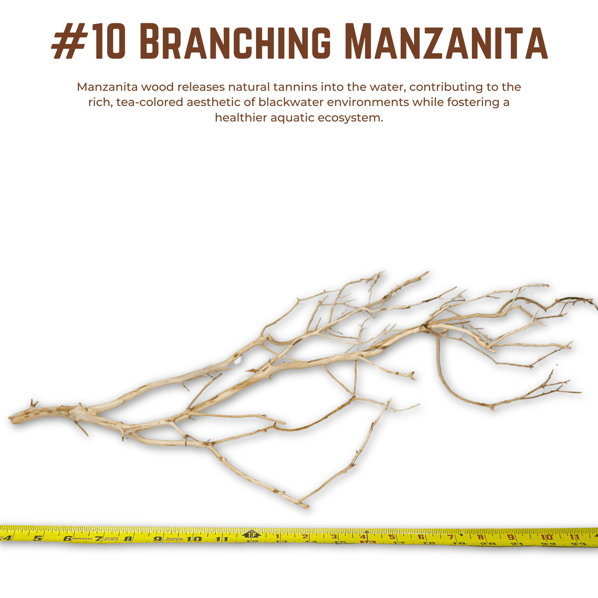 Branching Manzanita | WYSIWYG Pieces