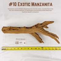 Exotic Manzanita | WYSIWYG Pieces