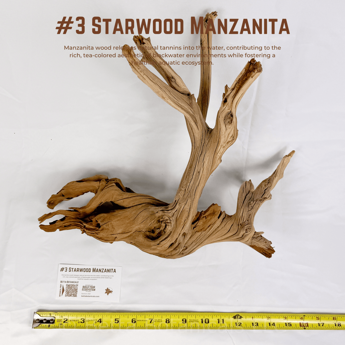 'Starwood' Manzanita | WYSIWYG Pieces