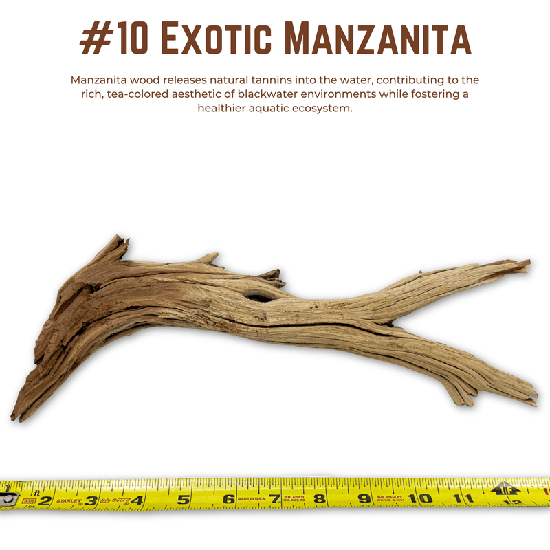 Exotic Manzanita | WYSIWYG Pieces