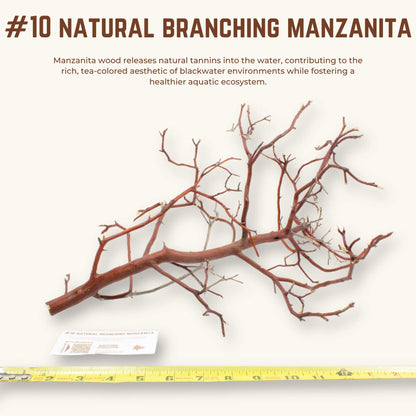 Natural Branching Manzanita | WYSIWYG Pieces