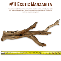 Exotic Manzanita | WYSIWYG Pieces