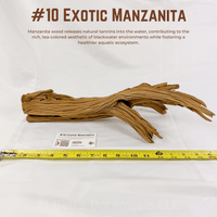 Exotic Manzanita | WYSIWYG Pieces