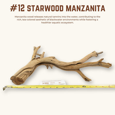 Starwood Manzanita | WYSIWYG Pieces