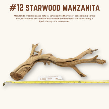Starwood Manzanita | WYSIWYG Pieces