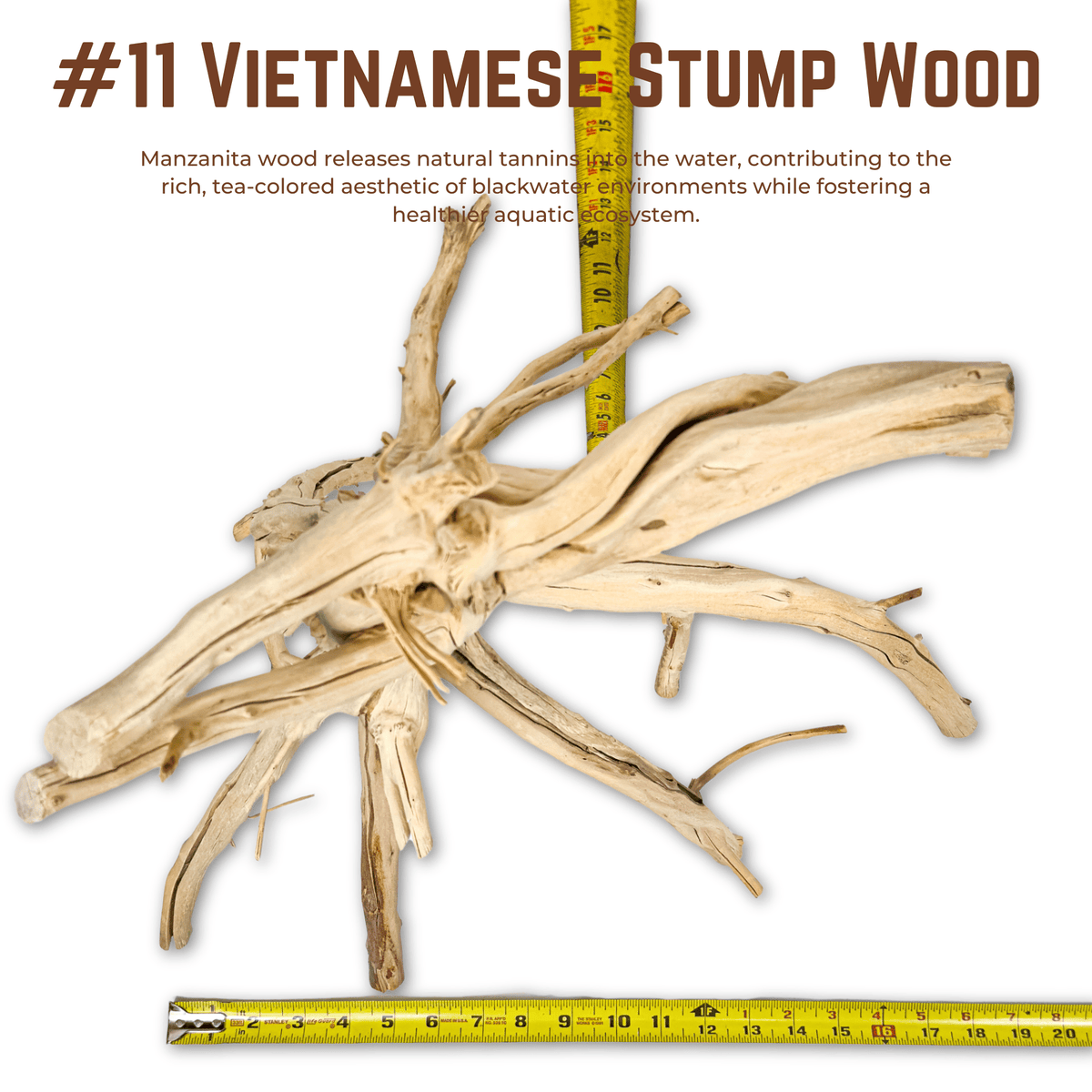 Vietnamese Stump Wood | WYSIWYG Pieces