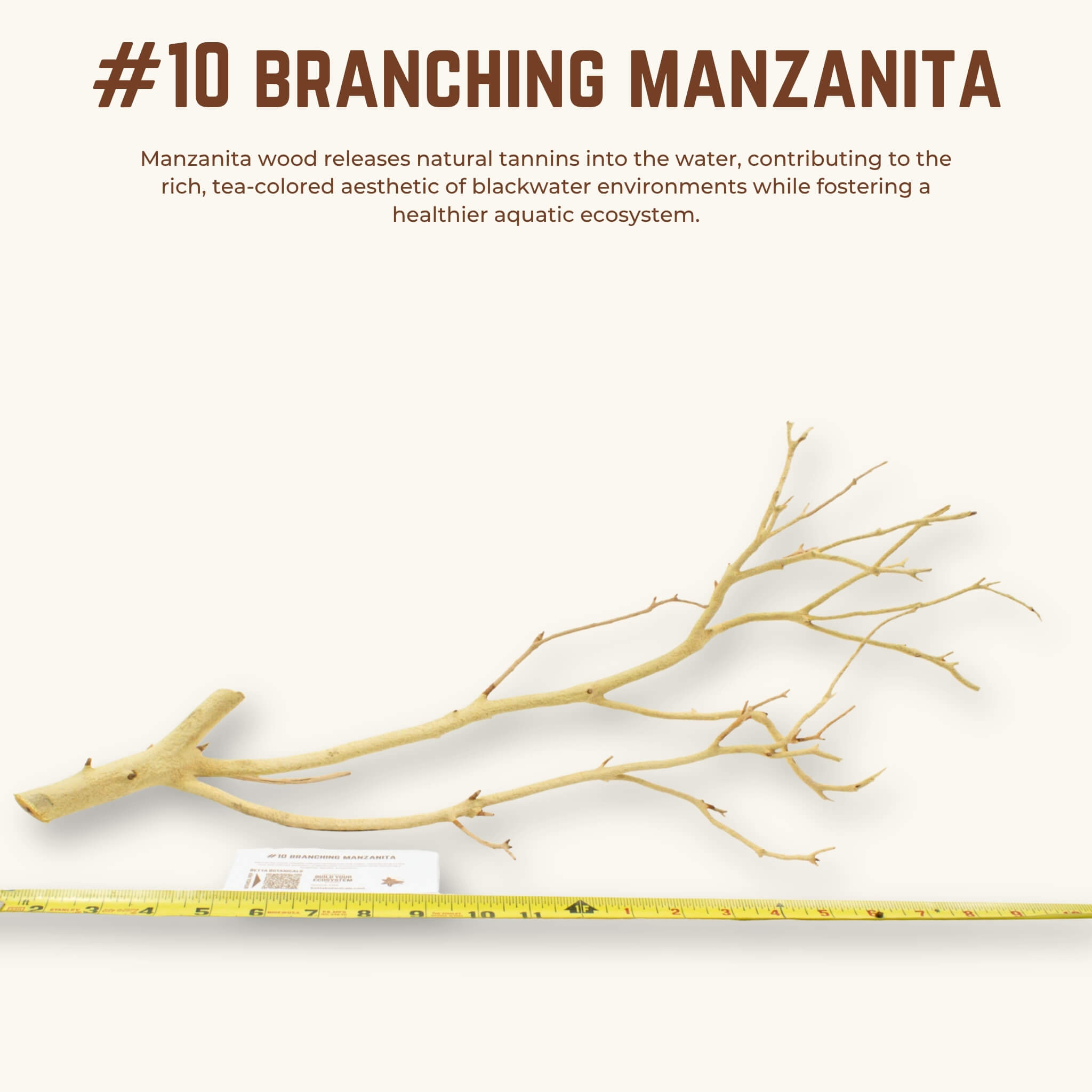 Branching Manzanita | WYSIWYG Pieces