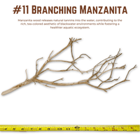 Branching Manzanita | WYSIWYG Pieces