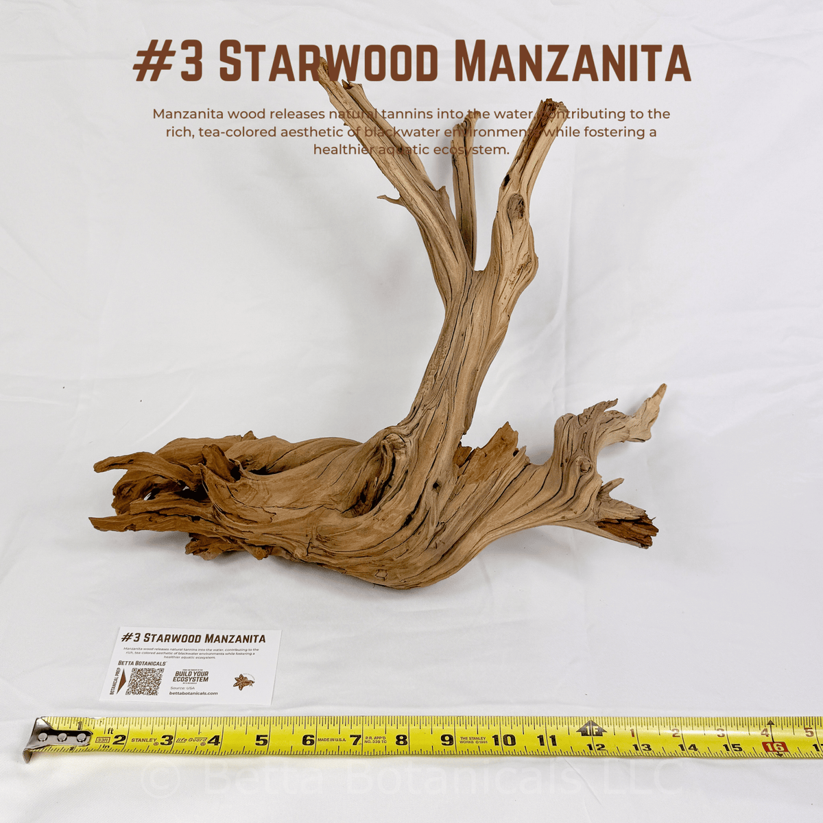 'Starwood' Manzanita | WYSIWYG Pieces