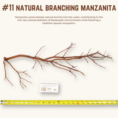 Natural Branching Manzanita | WYSIWYG Pieces