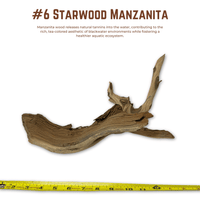 'Starwood' Manzanita | WYSIWYG Pieces