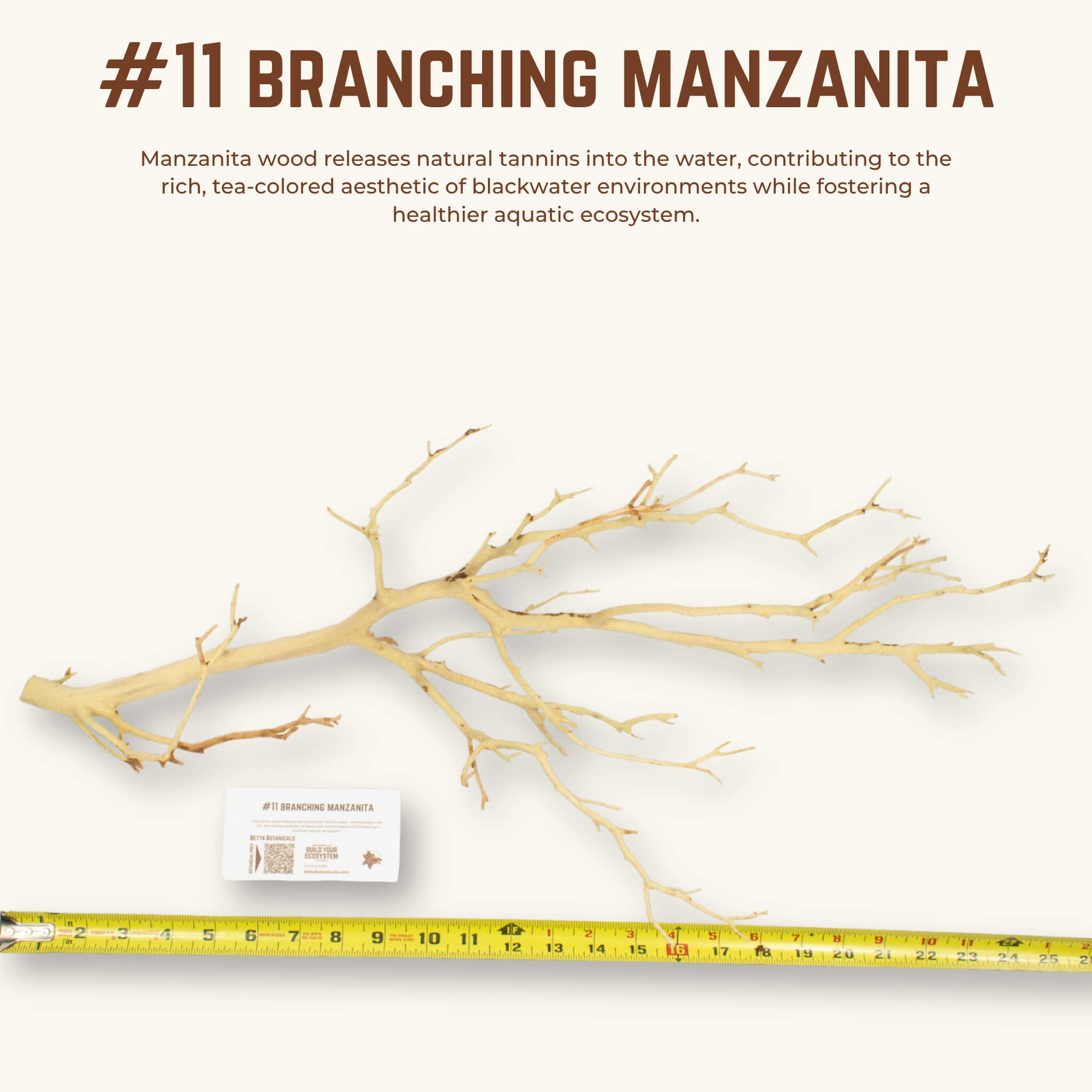 Branching Manzanita | WYSIWYG Pieces