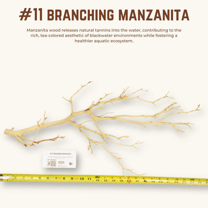 Branching Manzanita | WYSIWYG Pieces