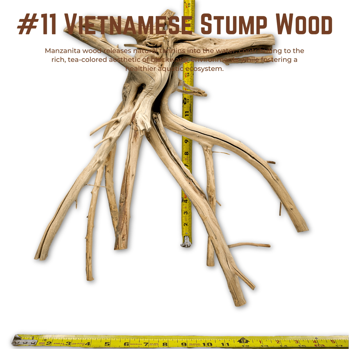 Vietnamese Stump Wood | WYSIWYG Pieces