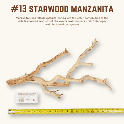 Starwood Manzanita | WYSIWYG Pieces