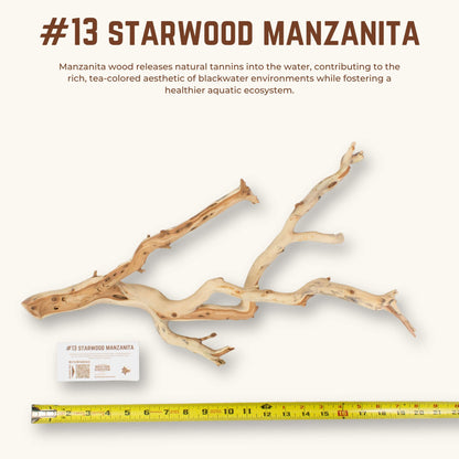 Starwood Manzanita | WYSIWYG Pieces