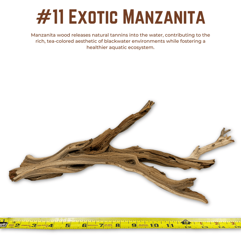 Exotic Manzanita | WYSIWYG Pieces