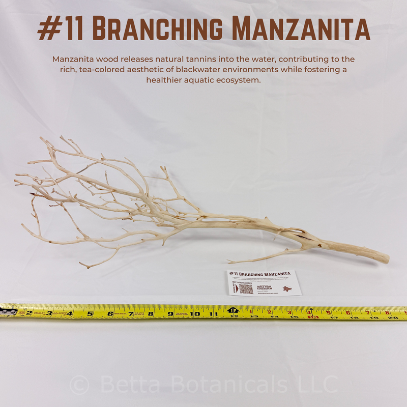 Branching Manzanita | WYSIWYG Pieces