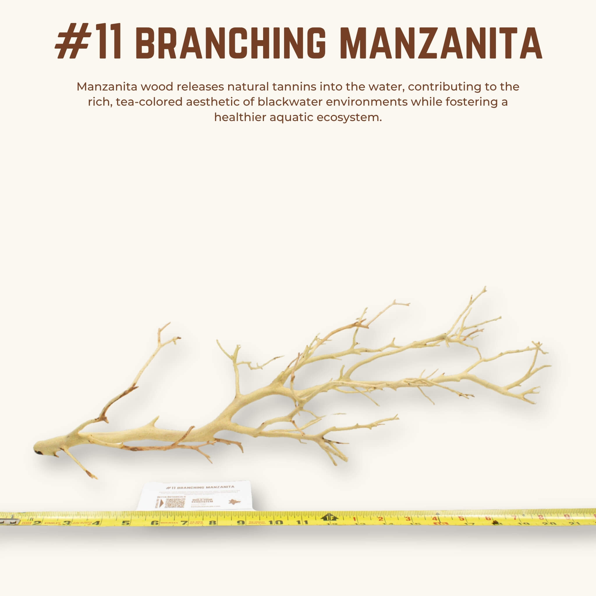 Branching Manzanita | WYSIWYG Pieces