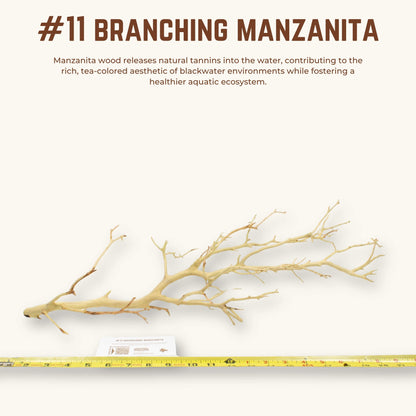 Branching Manzanita | WYSIWYG Pieces