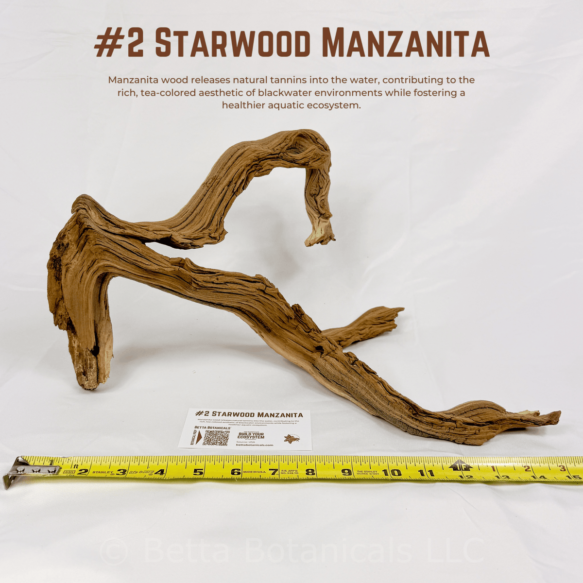 'Starwood' Manzanita | WYSIWYG Pieces