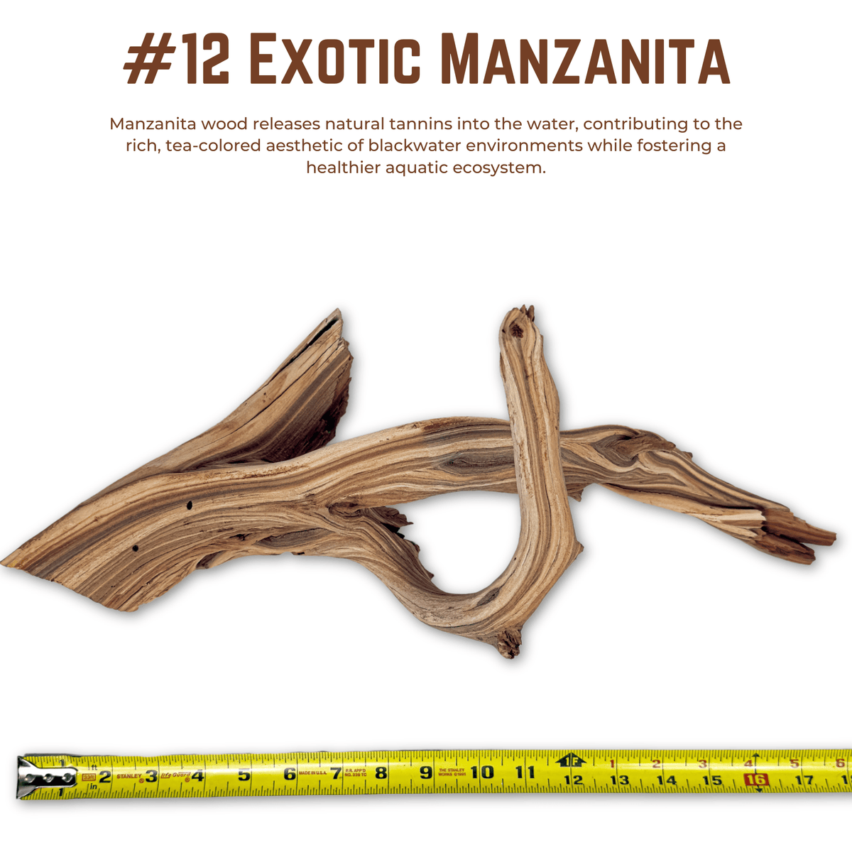 Exotic Manzanita | WYSIWYG Pieces