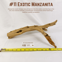 Exotic Manzanita | WYSIWYG Pieces