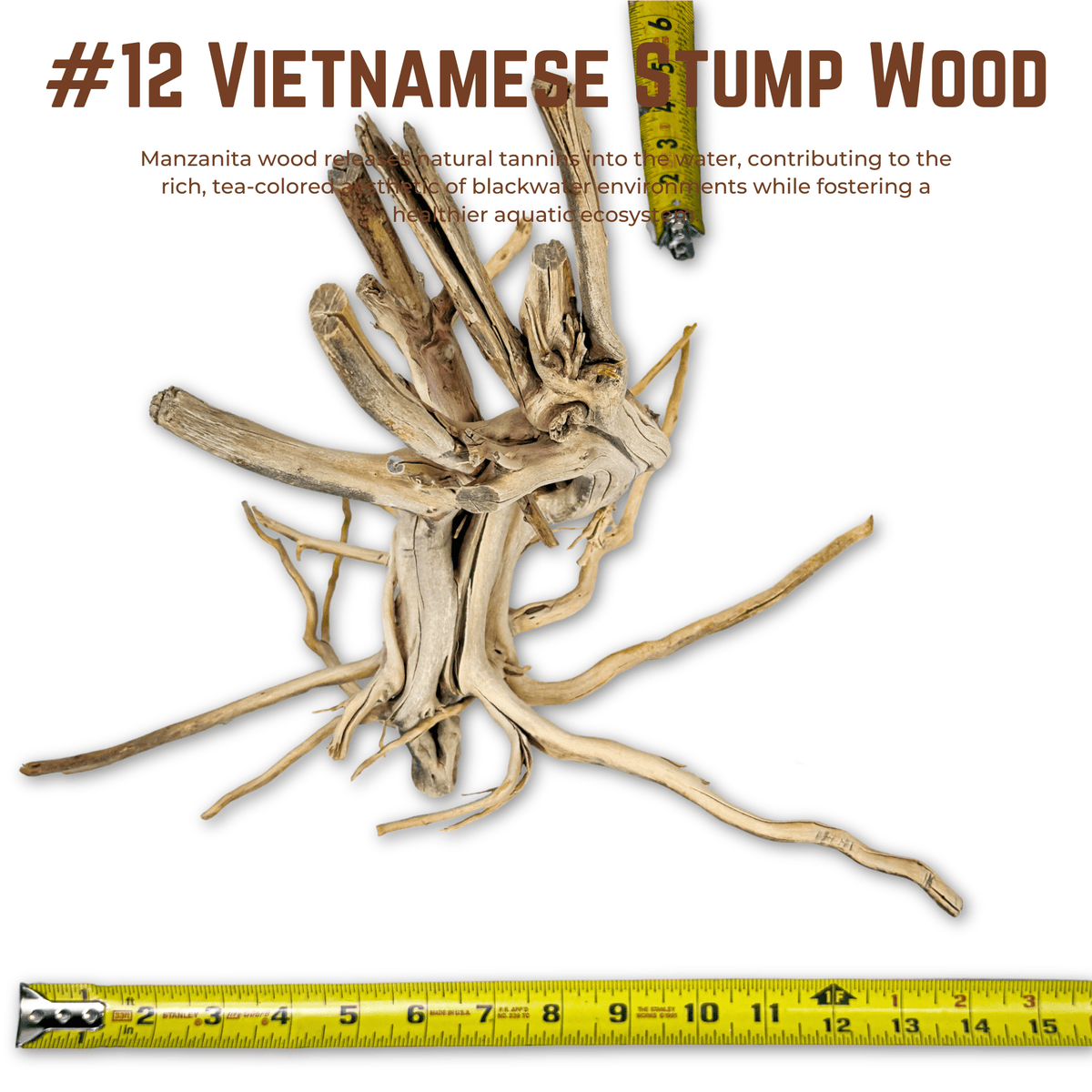 Vietnamese Stump Wood | WYSIWYG Pieces