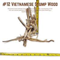 Vietnamese Stump Wood | WYSIWYG Pieces