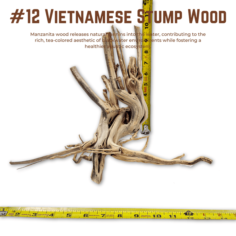 Vietnamese Stump Wood | WYSIWYG Pieces