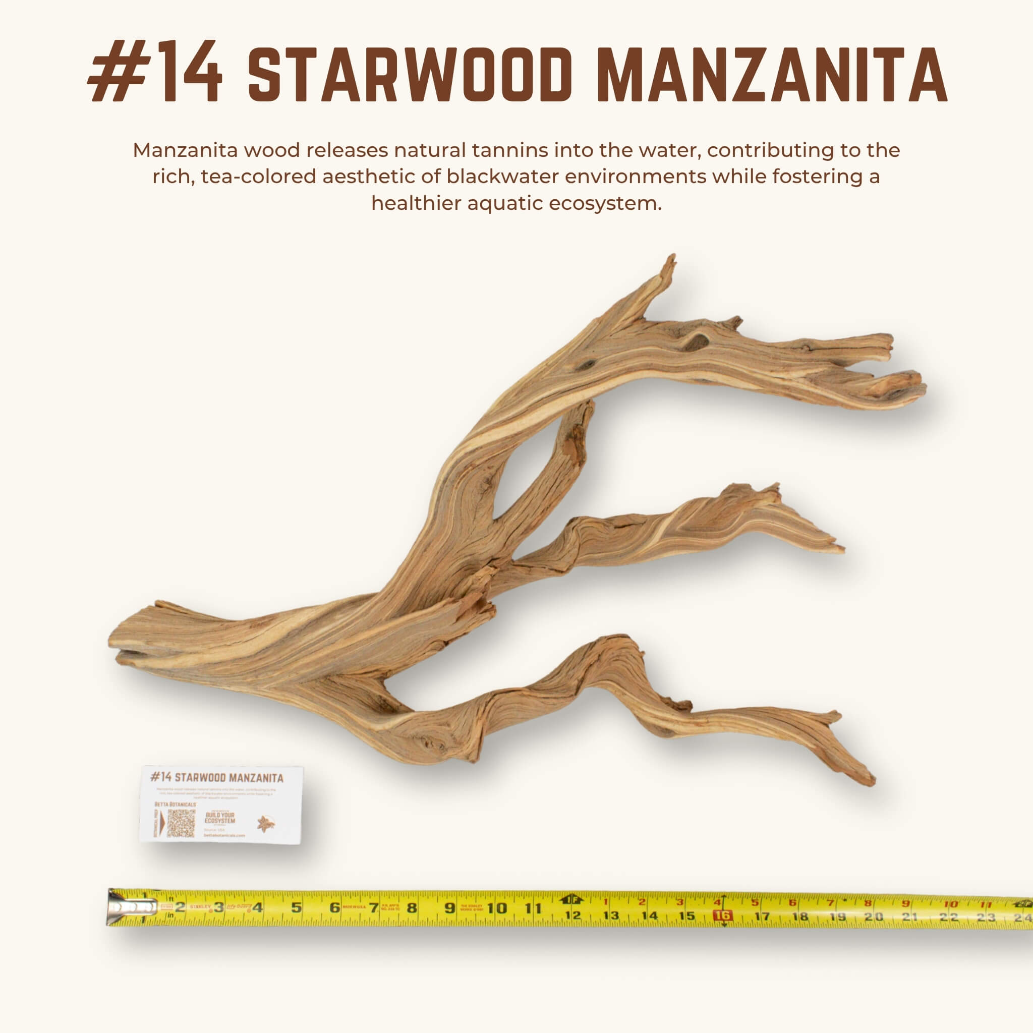Starwood Manzanita | WYSIWYG Pieces